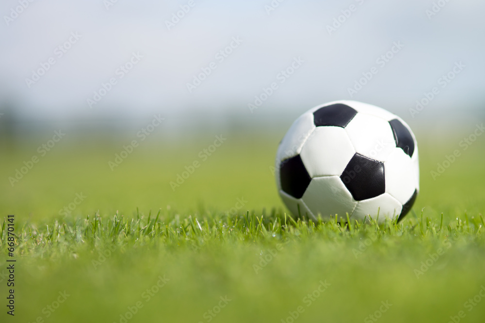 Fototapeta premium Fußball auf dem Rasen