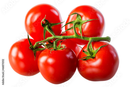 juicy fresh tomatoes on a green branch isolated
