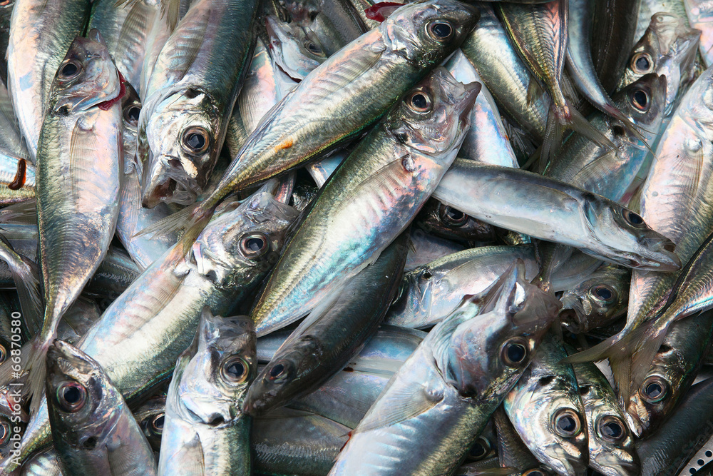 Obraz premium Raw fish.