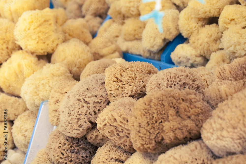 Natural sponge in different shapes on boat stall in Greece Natural sponge in different shapes on boat stall in Greece