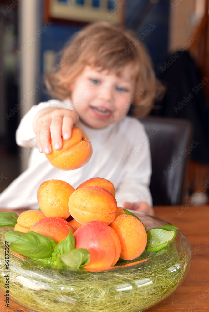 Fototapeta premium abricots