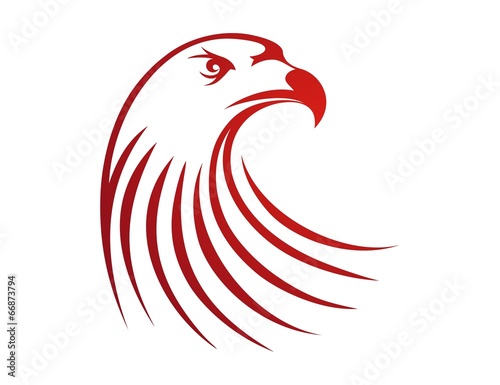 hawk logo,eagle bird silhouette,flying media business