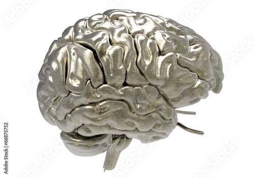 brain with clipping mask