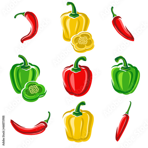 Chili and pepper set. Vector