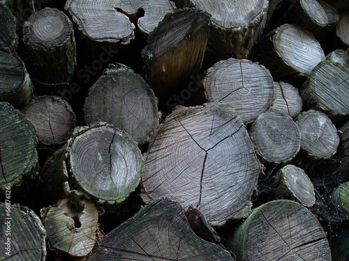 Wooden background old log irregular