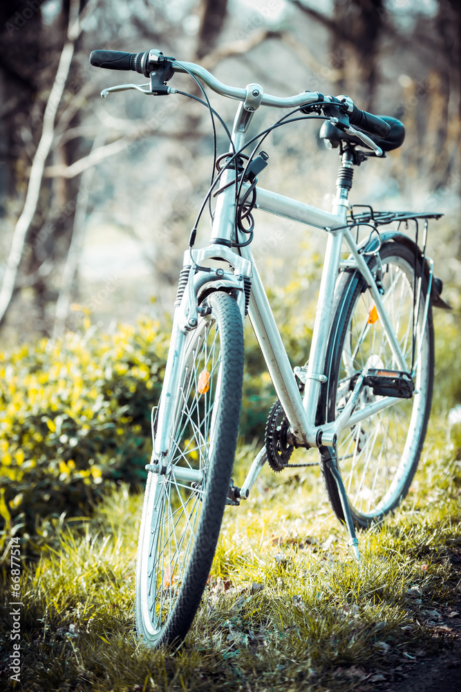 Vintage old bicycle in field.