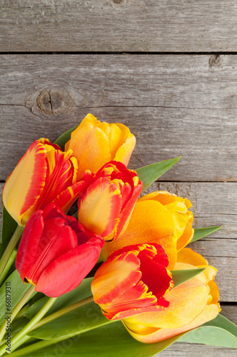 Fototapeta Naklejka Na Ścianę i Meble -  Fresh colorful tulips bouquet