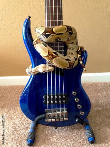 Bella and the MTD Artist photo