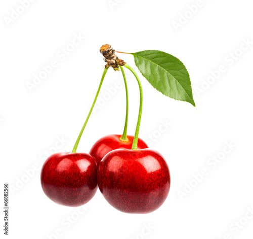 Three sweet cherries with the leaf on a white background