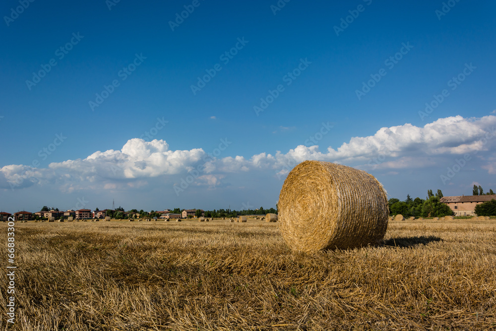 Rotoballe nella pianura Emiliana