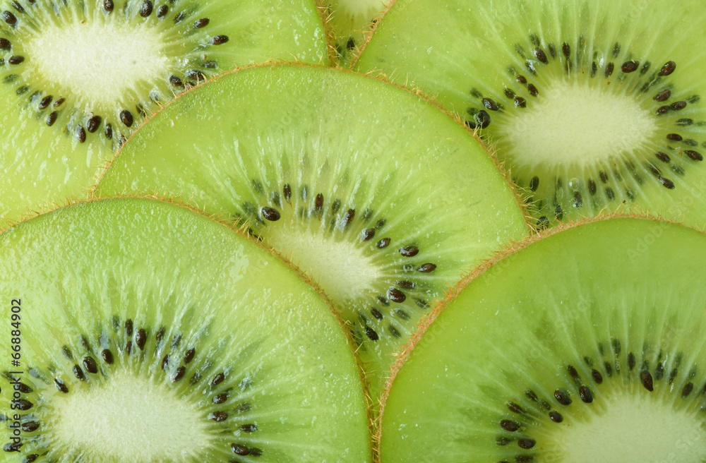 kiwi on background kiwi on background