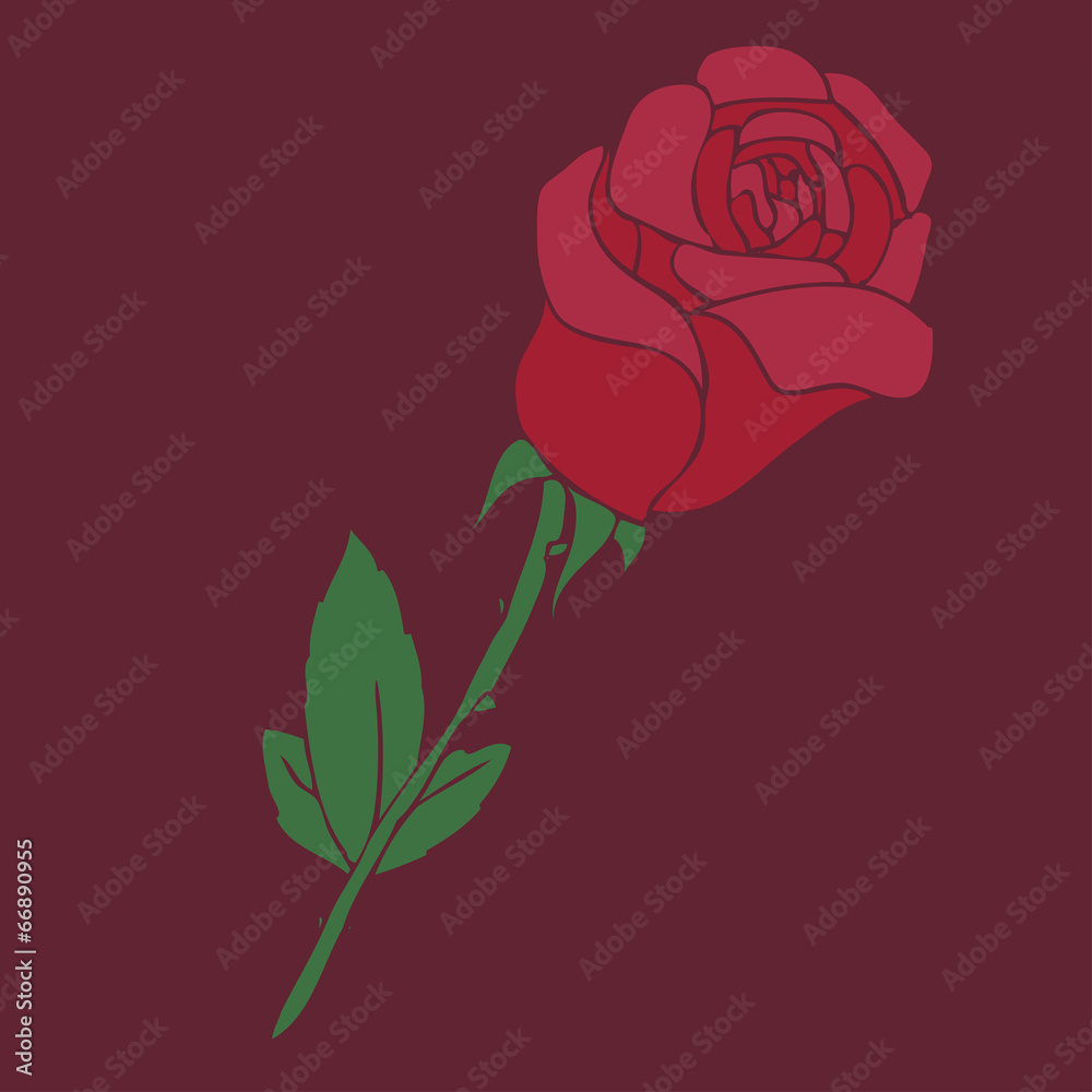 red rose, vector illustration, hand drawn red rose, vector illustration, hand drawn