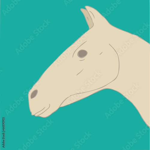 horse vector illustration, hand drawn