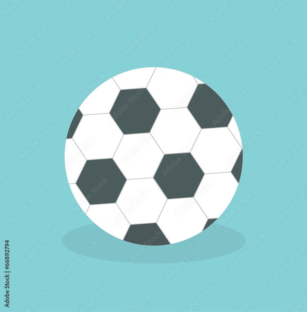 Fototapeta premium Soccer ball