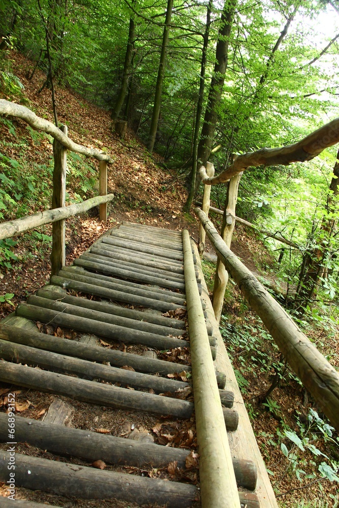 Fototapeta premium wanderweg bruecke I