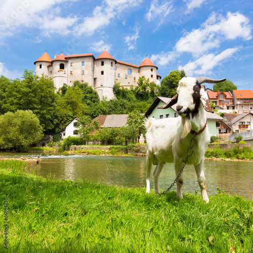 Zuzemberk Castle, Slovenian tourist destination. photo