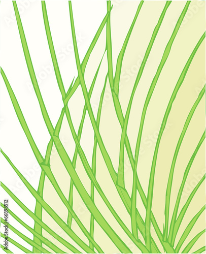 palm leaves  ornamental background. pattern. vector illustration