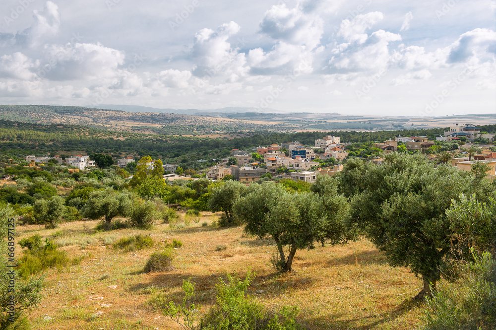 Naklejka premium Gardens Of Israel