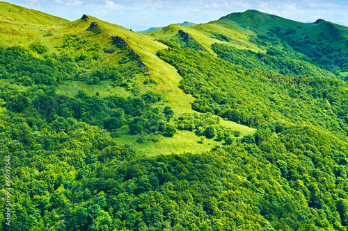 Green mountains sunny background. Carpathians, Poland. © boguslaw