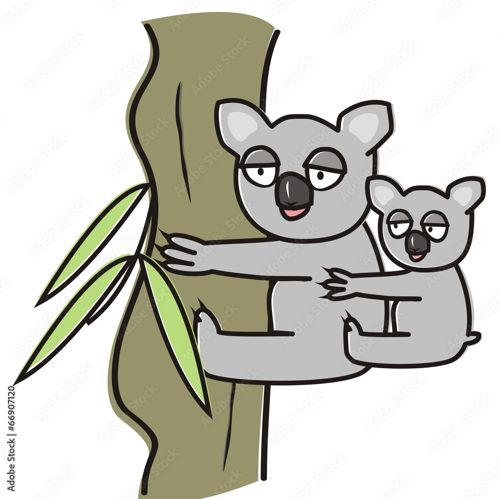 koala koala
