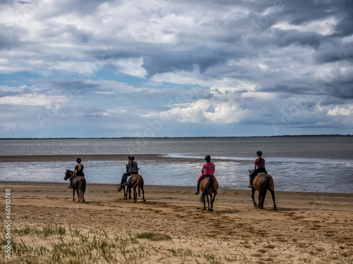 Group riding horses in the wadden sea