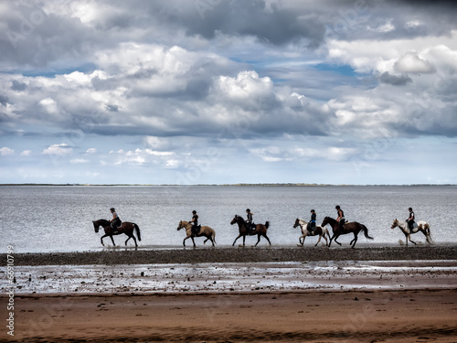 Group riding horses in the wadden sea