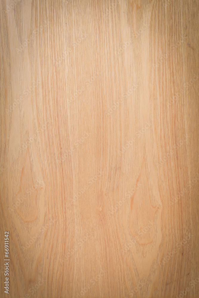 Fototapeta premium Texture of wood background closeup