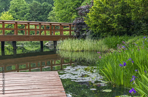 фотографія wooden pier and beautiful plants in a japanese garden