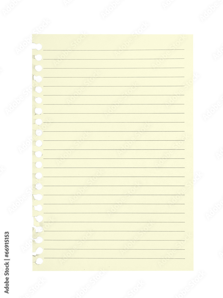 Sheet of lined paper torn from school notebook. Blank. Sheet of lined paper torn from school notebook. Blank.
