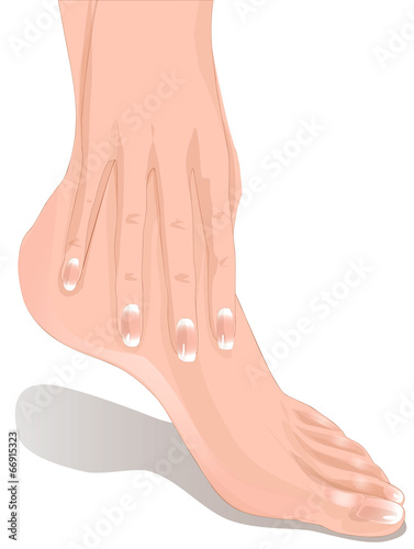 Female legs and hands