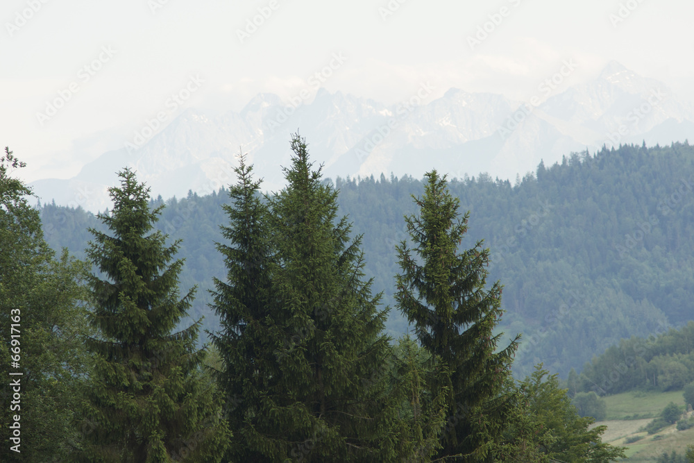 Fototapeta premium Widok na doline potoku Jamne i szczyty Tatr, Ochotnica Górna, PL