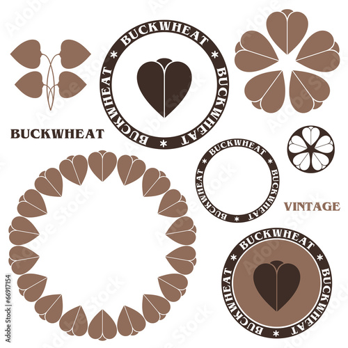 Buckwheat