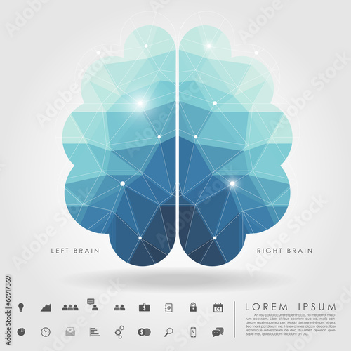 left and right brain polygon with business icon