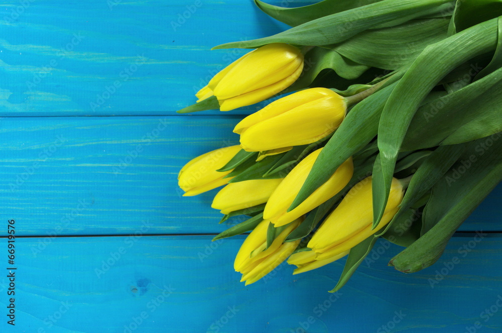 Naklejka premium tulipany