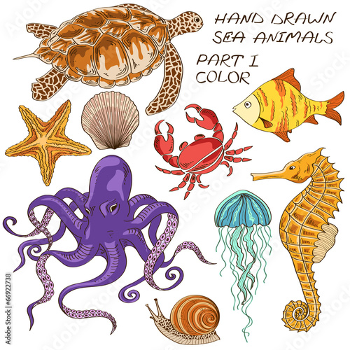 Set of isolated sea animals