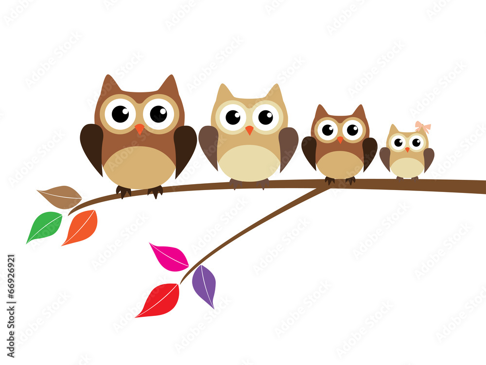 Wall murals vector owl family 