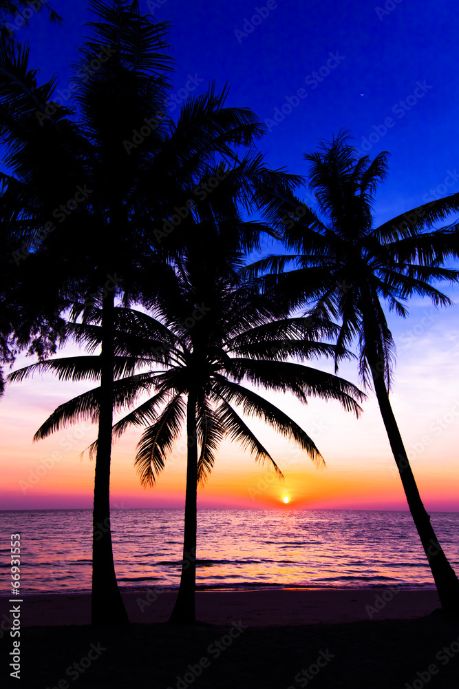 sunset on the beach.  Palm trees silhouette on sunset tropical b