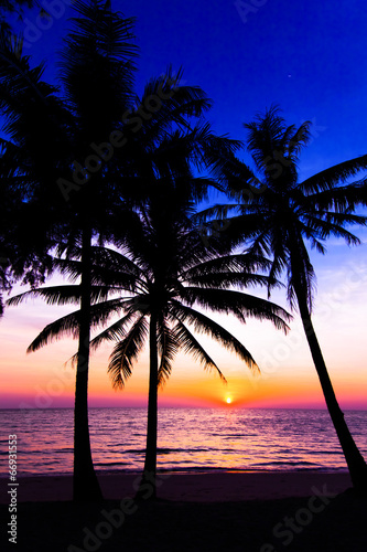 sunset on the beach.  Palm trees silhouette on sunset tropical b © EwaStudio