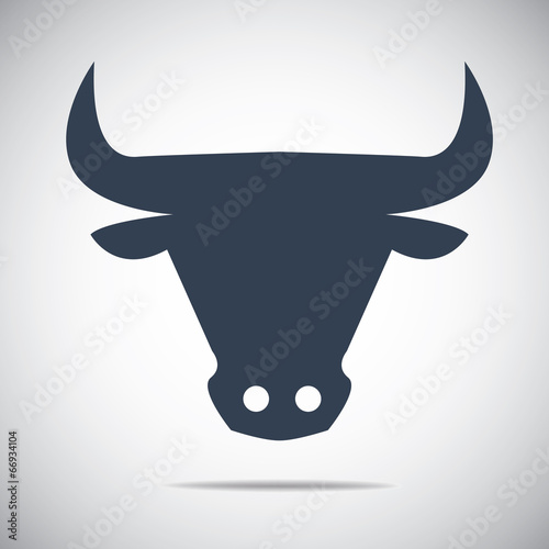bull head photo