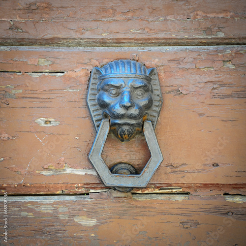 Door Knocker photo