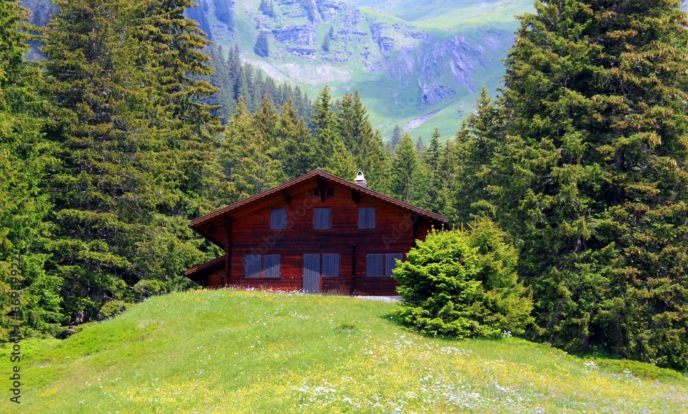 Fototapeta premium Hütte in den Bergen