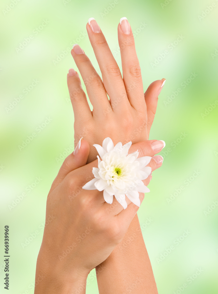 Beautiful female hands Beautiful female hands