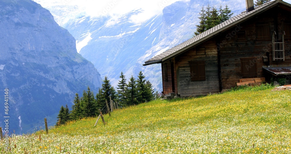 Fototapeta premium Hütte in den Bergen