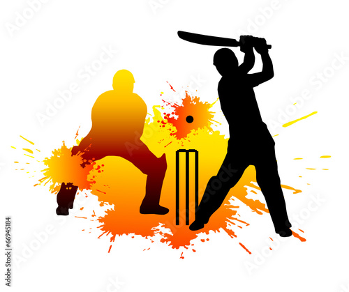 cricket - 4