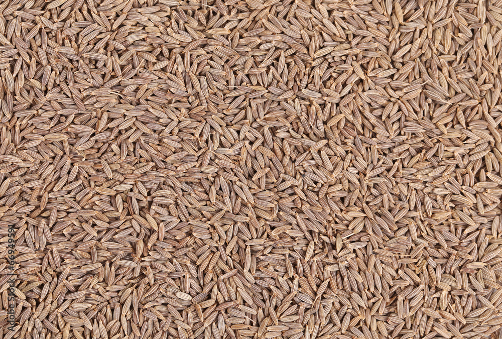 Close up of cumin seeds. Macro.