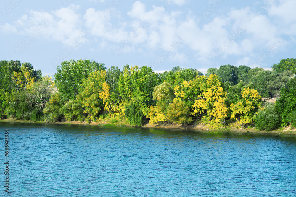 Obraz premium Landscape with forest and river.