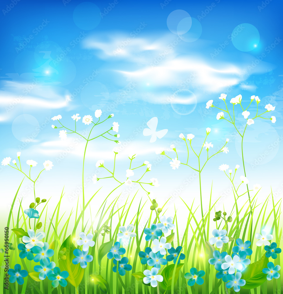 Background with grass and flowers. Vector Background with grass and flowers. Vector