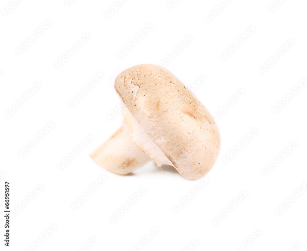 Champignon mushroom. Champignon mushroom.