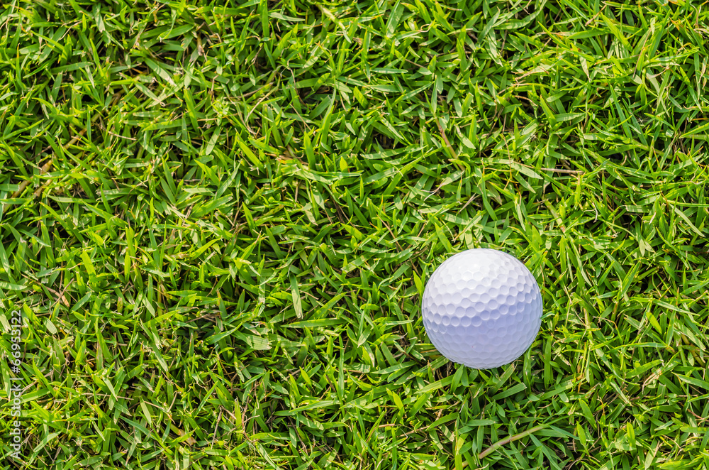 Golf ball on green grass Golf ball on green grass
