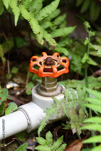 Photography Valves for control used water in the grass